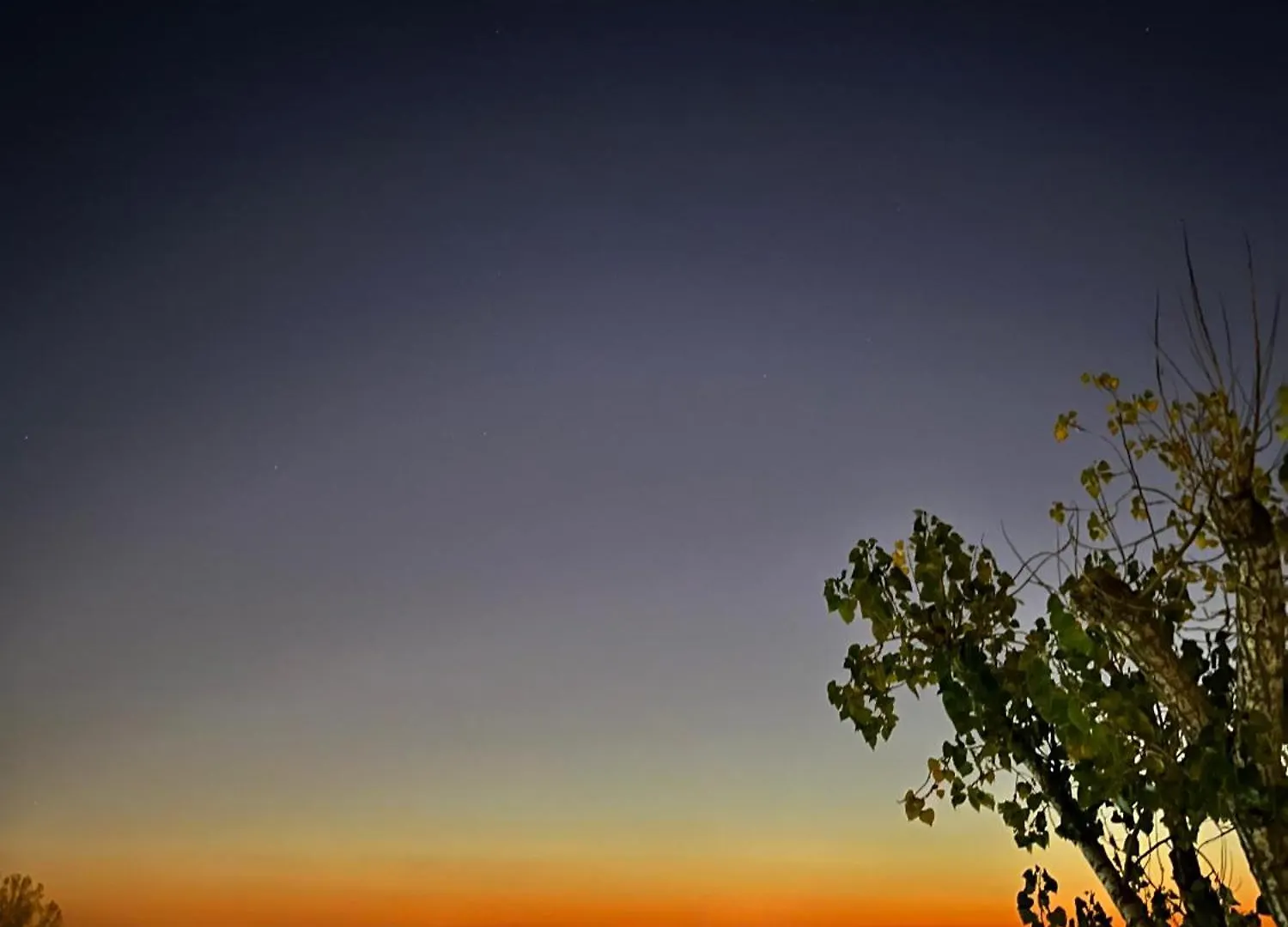 Sunset Apartment Otopeni 0*,